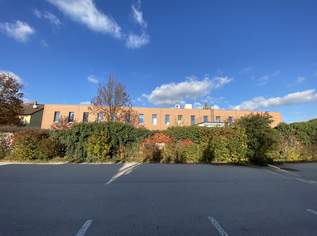 Großes Büro für 50 - 60 Mitarbeiter!, 13560 €, Immobilien-Gewerbeobjekte in 2332 Gemeinde Hennersdorf Großes Büro für 50 - 60 Mitarbeiter!, 13560 €, Immobilien-Gewerbeobjekte in 2332 Gemeinde Hennersdorf