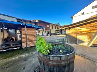 Wein trifft Wohnen: Traditionelles Winzerhaus im Herzen Falkensteins!, 450000 €, Immobilien-Häuser in 2162 Falkenstein