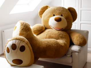 Kuschelbär sucht Kuschelmaus, null €, Marktplatz-Kontakte & Bekanntschaften in 1040 Wieden