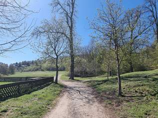 Villa beim Lainzer Tiergarten nach Kundenwunsch geplant - Edelrohbau mit Baugenehmigung - Lift im Haus möglich, 2800000 €, Immobilien-Häuser in 1130 Hietzing Villa beim Lainzer Tiergarten nach Kundenwunsch geplant - Edelrohbau mit Baugenehmigung - Lift im Haus möglich, 2800000 €, Immobilien-Häuser in 1130 Hietzing