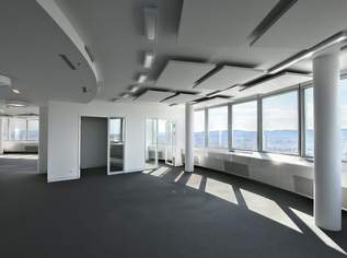 Arbeiten mit Aussicht im Millenniumtower, 12511.4 €, Immobilien-Gewerbeobjekte in 1200 Brigittenau