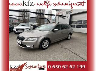 Octavia Combi 1,6 Elegance TDI 4x4 Green tec, 12990 €, Auto & Fahrrad-Autos in Kärnten