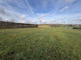 Ca. 5260 m² Landwirtschaftlicher Nutzgrund, 25900 €, Immobilien-Grund und Boden in 4724 Neukirchen am Walde Ca. 5260 m² Landwirtschaftlicher Nutzgrund, 25900 €, Immobilien-Grund und Boden in 4724 Neukirchen am Walde
