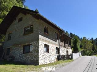 Alt- und Neubau mit großer Grünfläche, 110000 €, Immobilien-Häuser in 9861 Eisentratten