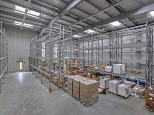 Hochregallager - idealer Standort nahe Autobahn A1!, 3348 €, Immobilien-Gewerbeobjekte in Oberösterreich Hochregallager - idealer Standort nahe Autobahn A1!, 3348 €, Immobilien-Gewerbeobjekte in Oberösterreich