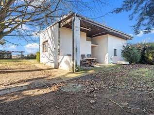 Zwei große Einfamilienhäuser oder vier Doppelhaushälfte möglich, 0 €, Immobilien-Häuser in 1220 Donaustadt