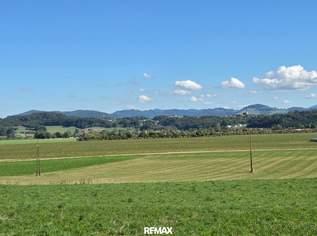Unverbaubare Fernsicht! 1.531 m² großes Hang-Baugrundstück OHNE Bauzwang und OHNE Bebauungsplan in Steusiedlung am Land!, 195000 €, Immobilien-Grund und Boden in 4522 Sierning Unverbaubare Fernsicht! 1.531 m² großes Hang-Baugrundstück OHNE Bauzwang und OHNE Bebauungsplan in Steusiedlung am Land!, 195000 €, Immobilien-Grund und Boden in 4522 Sierning