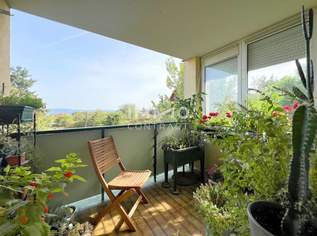 2-Zimmer-Wohnung mit SW-Loggia & Grünblick in ruhiger Lage, 165000 €, Immobilien-Wohnungen in 3500 Am Steindl 2-Zimmer-Wohnung mit SW-Loggia & Grünblick in ruhiger Lage, 165000 €, Immobilien-Wohnungen in 3500 Am Steindl