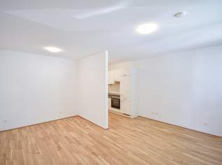 Ab 01.09. Wunderschöne 1-Zimmer-Etagenwohnung mit Loggia, 849 €, Immobilien-Wohnungen in 1200 Brigittenau