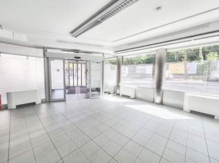 Multifunktionale Gewerbefläche (Büro, Ordination, Verkaufslokal, ...), 3233.02 €, Immobilien-Gewerbeobjekte in 1190 Döbling