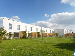 Familienglück im Grünen – nachhaltige Reihenhäuser am Kanal, 1450 €, Immobilien-Häuser in Niederösterreich