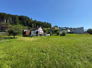 SONNIG, RUHIG UND BESTENS ANGEBUNDEN, 546000 €, Immobilien-Grund und Boden in 6835 Dafins SONNIG, RUHIG UND BESTENS ANGEBUNDEN, 546000 €, Immobilien-Grund und Boden in 6835 Dafins