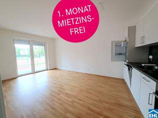 Moderne Innenstadtwohnung beim zentralen Stadtteil Gries, 1149 €, Immobilien-Wohnungen in 8020 