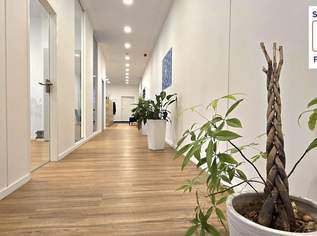 Modernes 6 Zimmer - Büro mit 13 Stellplätze zum Vermieten, 3989.64 €, Immobilien-Gewerbeobjekte in 2351 Gemeinde Wiener Neudorf