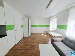 Zentral gelegenes 1-Zimmer-Apartment in ruhiger Seitengasse des 7. Bezirks, 249000 €, Immobilien-Wohnungen in 1070 Neubau