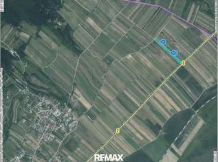Weinberg – 11.559 m² in ausgezeichneter Lage zwischen Purbach und Breitenbrunn, 86500 €, Immobilien-Gewerbeobjekte in 7083 Purbach am Neusiedler See
