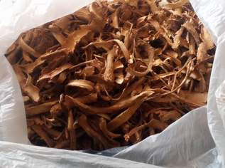 IBOGA - Tabernanthe Iboga Wurzelrinde 5 - 6,4% TA