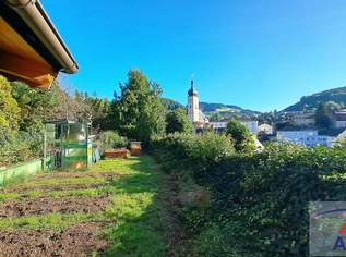 Großes Haus für Unternehmer und jene, die es noch werden wollen!, 0 €, Immobilien-Häuser in 3340 Gemeinde Waidhofen an der Ybbs