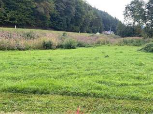 Schöner 800m² Baugrund, aufgeschlossen in Kirchschlag i.d.B.W - BK I oder BK II, 30% Bebaubarkeit!, 80000 €, Immobilien-Grund und Boden in 2860 Kirchschlag in der Buckligen Welt Schöner 800m² Baugrund, aufgeschlossen in Kirchschlag i.d.B.W - BK I oder BK II, 30% Bebaubarkeit!, 80000 €, Immobilien-Grund und Boden in 2860 Kirchschlag in der Buckligen Welt