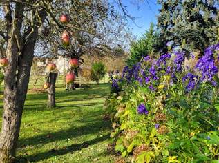 IDYLLISCHER LANDSITZ AUF ca. 3200m² BAULAND-AGRARGEBIET MIT VORRÜBERGEHENDEM WOHNRECHT ZU VERKAUFEN., 1250000 €, Immobilien-Häuser in 2533 Gemeinde Klausen-Leopoldsdorf