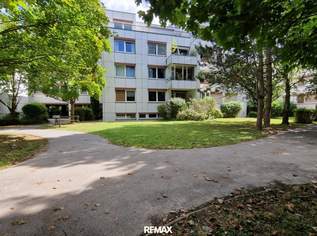 Helle Mietwohnung in grüner Lage, 875 €, Immobilien-Wohnungen in 2120 Gemeinde Wolkersdorf im Weinviertel Helle Mietwohnung in grüner Lage, 875 €, Immobilien-Wohnungen in 2120 Gemeinde Wolkersdorf im Weinviertel