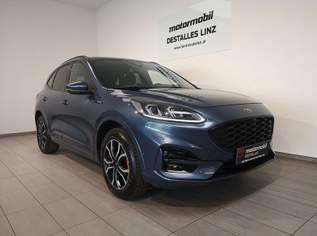 Kuga 2,0 EcoBlue AWD ST-Line Aut., 25490 €, Auto & Fahrrad-Autos in 4020 Bulgariplatz