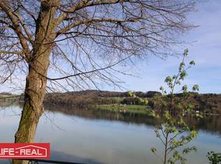Grundstück mit Seltenheitswert am Mattsee, KEIN BAULAND, 199000 €, Immobilien-Grund und Boden in 5163 Mattsee