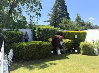 Viel barrierefreier Wohnraum, Platz für gemeinsame Werte und Indoor-Pool // Much barrier-free living-space, room for shared values, and indoor pool //, 750000 €, Immobilien-Häuser in 2563 Katastralgemeinde Pottenstein