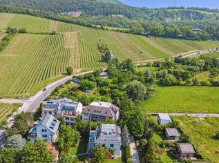 Topmoderne Villa in Neustift am Walde mit Indoorpool, 5490000 €, Immobilien-Häuser in 1190 Döbling