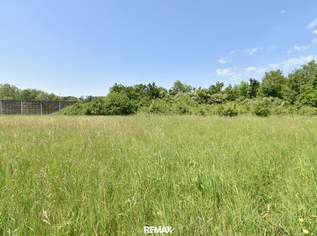 Aufgeschlossenes 1.998 m² Baugrundstück in entspannter Siedlungslage!, 250000 €, Immobilien-Grund und Boden in 4523 Neuzeug