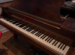Steinway & Sons Flügel zu verkaufen Steinway & Sons Flügel zu verkaufen