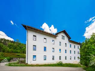 Sanierungsbedürftiges Wohnhaus mit 24 Wohneinheiten in Hanglage, 360000 €, Immobilien-Gewerbeobjekte in Steiermark