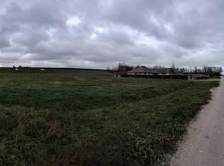 Balaton, 40000 €, Immobilien-Grund und Boden in Ungarn Balaton, 40000 €, Immobilien-Grund und Boden in Ungarn