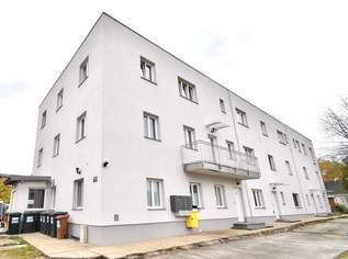Gepflegtes Mini-Apartment mit Badezimmer in zentraler Lage - Zimmer 11! Nähe BMW, SKF!!!, 35262 €, Immobilien-Wohnungen in 4400 Steyr