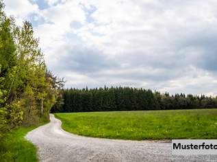 Land- und Forstwirtschaftsflächen, 21000 €, Immobilien-Grund und Boden in 6401 Gemeinde Inzing