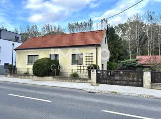Platzwunder mit großem Grundstück und vielen Nebenflächen – voller Möglichkeiten, 259000 €, Immobilien-Häuser in 2412 Gemeinde Wolfsthal