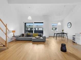 "Nach oben offen", 269000 €, Immobilien-Wohnungen in 3451 Plankenberg