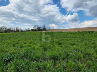 GROßZÜGIGES GRUNDSTÜCK UNWEIT VON ST. PÖLTEN ? OHNE BAUZWANG, 140 €, Immobilien-Grund und Boden in 3385 Prinzersdorf