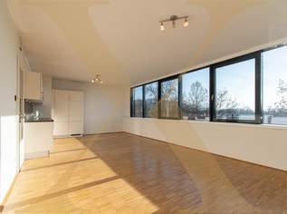 Gut aufgeteilte 2-Zimmer-Wohnung mit Einbauküche in Linz/Urfahr nähe JKU zu vermieten!, 959.9 €, Immobilien-Wohnungen in Oberösterreich