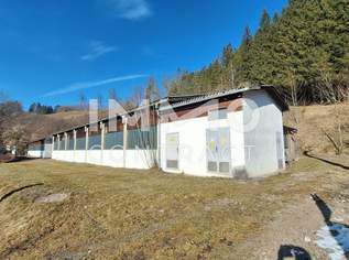 Lager-, Montage- u.o. Produktionshallen mit Freiflächen in Opponitz - Ybbstal zu mieten, 3000 €, Immobilien-Gewerbeobjekte in 3342 Graben Lager-, Montage- u.o. Produktionshallen mit Freiflächen in Opponitz - Ybbstal zu mieten, 3000 €, Immobilien-Gewerbeobjekte in 3342 Graben