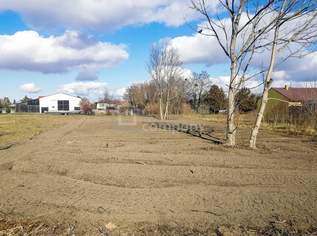 --> Traumhaftes Grundstück in Loimersdorf – 1079 m² für Ihre Zukunft!, 149000 €, Immobilien-Grund und Boden in 2292 Loimersdorf