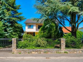 Exklusive Architektenvilla auf außergewöhnlichem Eigengrund in begehrter Grünlage am Laaer Berg, 1250000 €, Immobilien-Häuser in 1100 Favoriten Exklusive Architektenvilla auf außergewöhnlichem Eigengrund in begehrter Grünlage am Laaer Berg, 1250000 €, Immobilien-Häuser in 1100 Favoriten