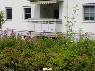 Helle geräumige 5-Zimmer-Wohnung - nahe Puckingersee, 278000 €, Immobilien-Wohnungen in 4055 Pucking Helle geräumige 5-Zimmer-Wohnung - nahe Puckingersee, 278000 €, Immobilien-Wohnungen in 4055 Pucking