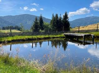 Einzigartige Landwirtschaft inkl. Hofstelle und eigener Quelle, umgeben von 52 ha arrondierter Wald- und Wiesenfläche, 0 €, Immobilien-Gewerbeobjekte in 9562 Himmelberg Einzigartige Landwirtschaft inkl. Hofstelle und eigener Quelle, umgeben von 52 ha arrondierter Wald- und Wiesenfläche, 0 €, Immobilien-Gewerbeobjekte in 9562 Himmelberg