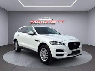 F-Pace Pure, 13999 €, Auto & Fahrrad-Autos in 4600 Wels F-Pace Pure, 13999 €, Auto & Fahrrad-Autos in 4600 Wels