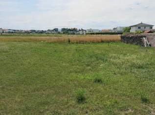 "Baugrund, Nähe Eisenstadt!", 149000 €, Immobilien-Grund und Boden in 7061 Trausdorf an der Wulka