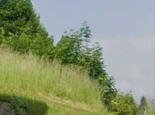 Wohnen am Waldrand, 29000 €, Immobilien-Grund und Boden in 9530 Bad Bleiberg