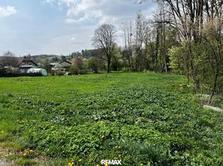Grundstück in Neuberg, 35500 €, Immobilien-Grund und Boden in 7537 Neuberg im Burgenland Grundstück in Neuberg, 35500 €, Immobilien-Grund und Boden in 7537 Neuberg im Burgenland