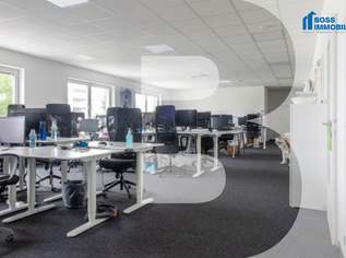 Businessfläche am TOP Standort - 380 m², 3306 €, Immobilien-Gewerbeobjekte in 4061 Pasching