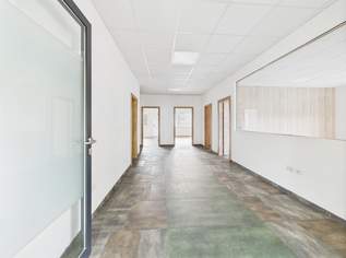 *Erstbezug + PROVISIONSFREI*: 152m² Büro/Praxisflächen in St. Andrä – modern, flexibel + zentral gelegen, 1290 €, Immobilien-Gewerbeobjekte in 9433 Blaiken *Erstbezug + PROVISIONSFREI*: 152m² Büro/Praxisflächen in St. Andrä – modern, flexibel + zentral gelegen, 1290 €, Immobilien-Gewerbeobjekte in 9433 Blaiken